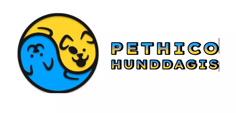 Pethico Hunddagis